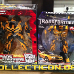 DOTM Leader Bumblebee in the wild – it’s a buzzy kind of day!